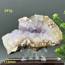 Load image into Gallery viewer, 43806216323248