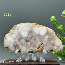 Load image into Gallery viewer, 43806215372976