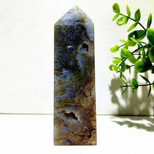 Load image into Gallery viewer, 43820611174576