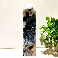 Load image into Gallery viewer, 43820611010736