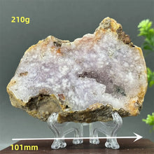 Load image into Gallery viewer, 43806215667888