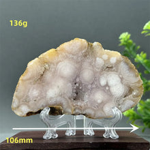 Load image into Gallery viewer, 43806216388784