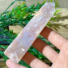 Load image into Gallery viewer, 43806210916528