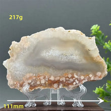 Load image into Gallery viewer, 43806215241904