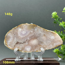 Load image into Gallery viewer, 43806215995568