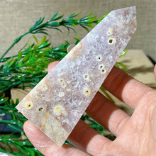 Load image into Gallery viewer, 43806210883760