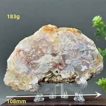 Load image into Gallery viewer, 43806215536816