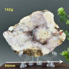 Load image into Gallery viewer, 43806215471280