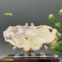 Load image into Gallery viewer, 43806215864496