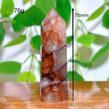 Load image into Gallery viewer, 43826518753456