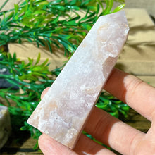 Load image into Gallery viewer, 43806210982064