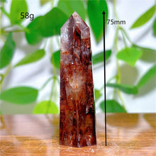 Load image into Gallery viewer, 43826519146672