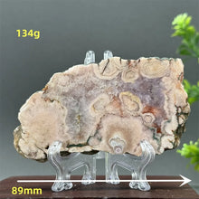 Load image into Gallery viewer, 43806215274672