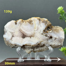 Load image into Gallery viewer, 43806216028336