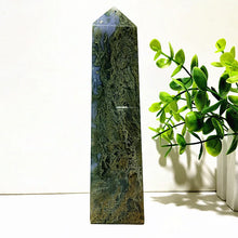 Load image into Gallery viewer, 43820610945200