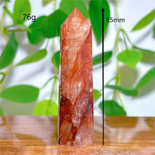 Load image into Gallery viewer, 43826519015600