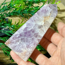 Load image into Gallery viewer, 43806210654384