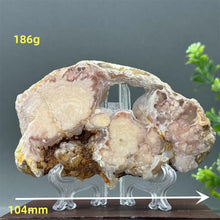 Load image into Gallery viewer, 43806215635120