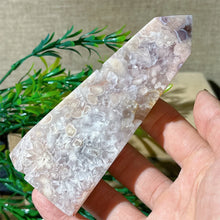 Load image into Gallery viewer, 43806210785456