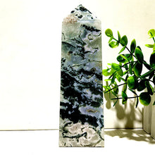 Load image into Gallery viewer, 43820611076272