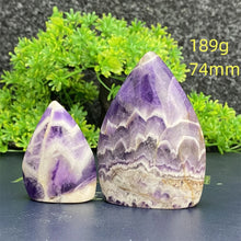 Load image into Gallery viewer, 43826399871152