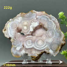 Load image into Gallery viewer, 43806215569584