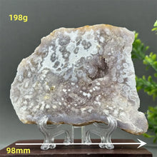 Load image into Gallery viewer, 43806216224944