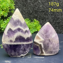 Load image into Gallery viewer, 43826399609008