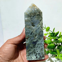 Load image into Gallery viewer, 43820610781360