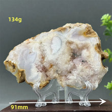 Load image into Gallery viewer, 43806216061104