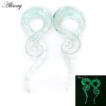 Load image into Gallery viewer, 2pcs Glass Spiral Earrings
